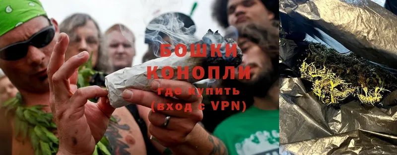 сколько стоит  Лодейное Поле  Конопля SATIVA & INDICA 